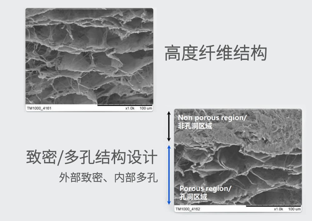 海昌膠原蛋白結(jié)構(gòu).png